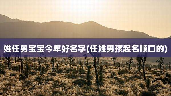 姓任男宝宝今年好名字(任姓男孩起名顺口的)