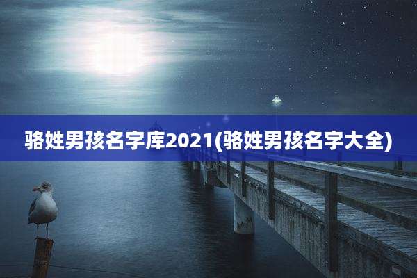 骆姓男孩名字库2021(骆姓男孩名字大全)