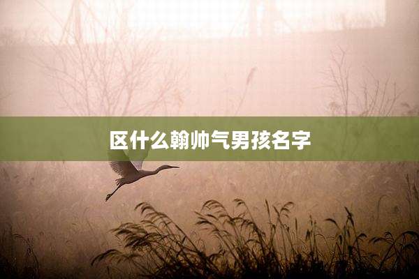 区什么翰帅气男孩名字