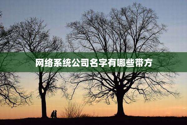 网络系统公司名字有哪些带方
