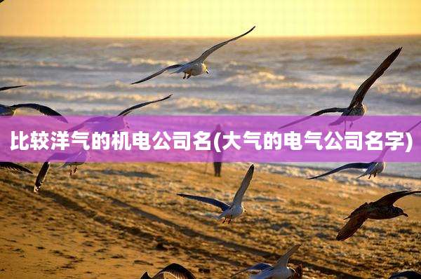 比较洋气的机电公司名(大气的电气公司名字)