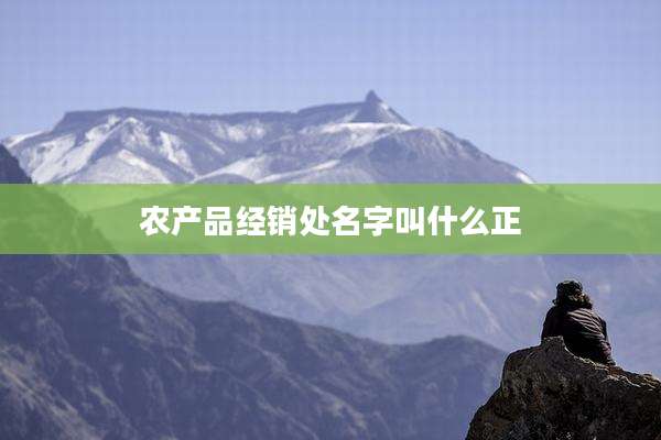 农产品经销处名字叫什么正