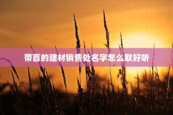 带首的建材销售处名字怎么取好听