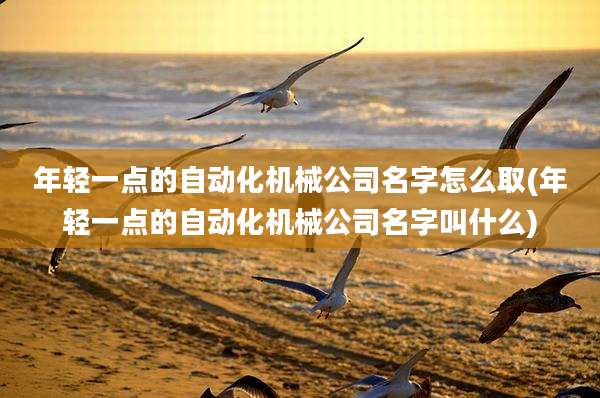 年轻一点的自动化机械公司名字怎么取(年轻一点的自动化机械公司名字叫什么)