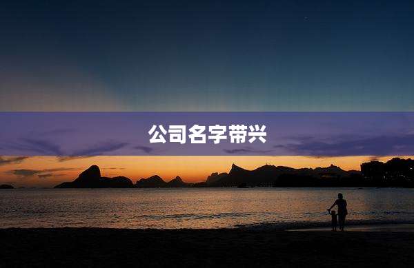 公司名字带兴