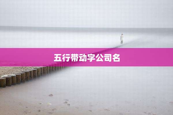 五行带动字公司名