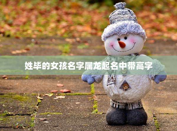 姓毕的女孩名字属龙起名中带高字