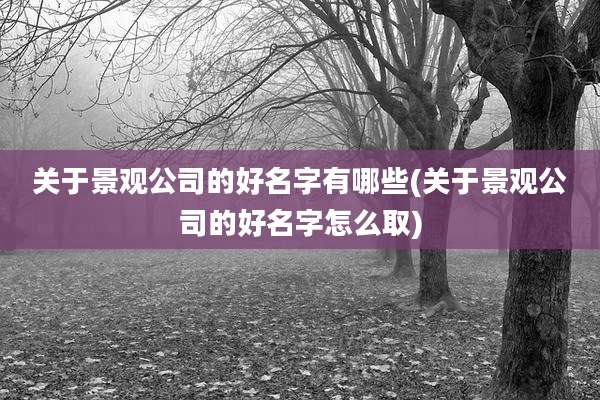 关于景观公司的好名字有哪些(关于景观公司的好名字怎么取)