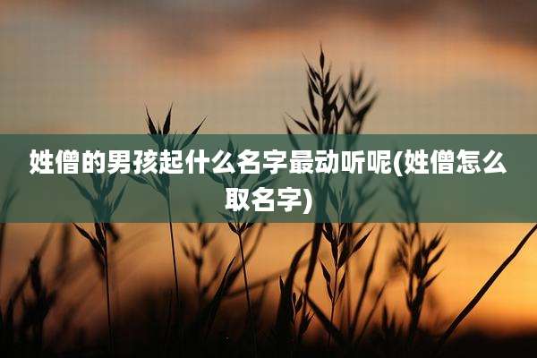 姓僧的男孩起什么名字最动听呢(姓僧怎么取名字)