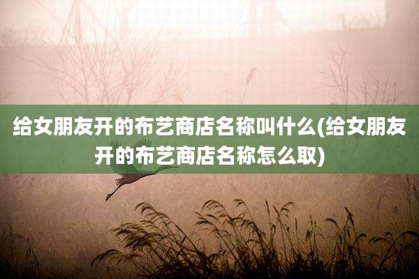 给女朋友开的布艺商店名称叫什么(给女朋友开的布艺商店名称怎么取)