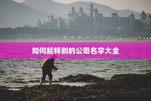 如何起特别的公司名字大全