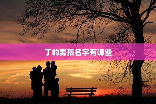丁的男孩名字有哪些