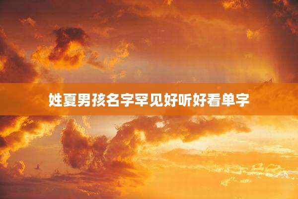 姓夏男孩名字罕见好听好看单字