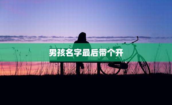 男孩名字最后带个开
