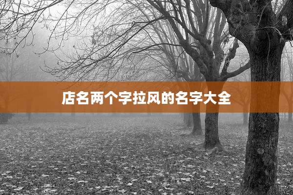 店名两个字拉风的名字大全