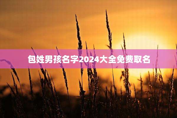 包姓男孩名字2024大全免费取名