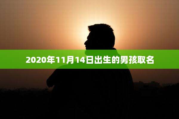 2020年11月14日出生的男孩取名
