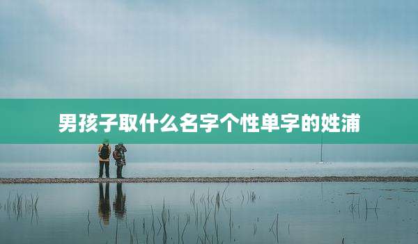 男孩子取什么名字个性单字的姓浦