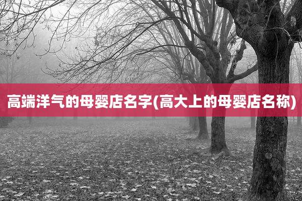 高端洋气的母婴店名字(高大上的母婴店名称)
