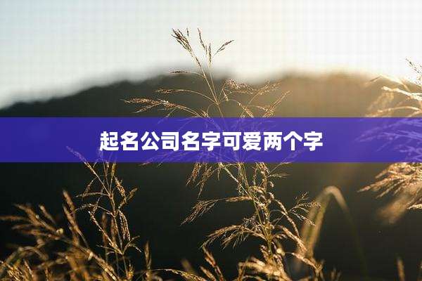 起名公司名字可爱两个字