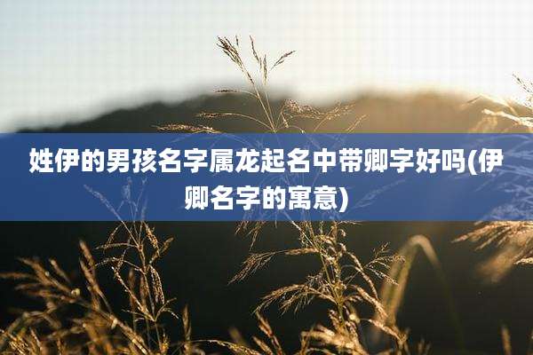 姓伊的男孩名字属龙起名中带卿字好吗(伊卿名字的寓意)