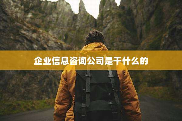 企业信息咨询公司是干什么的