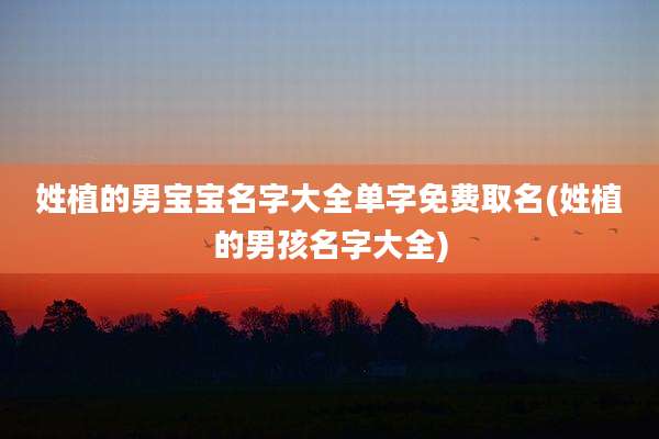 姓植的男宝宝名字大全单字免费取名(姓植的男孩名字大全)