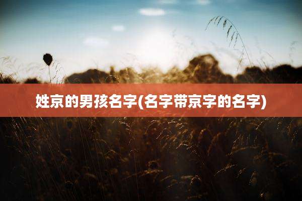 姓京的男孩名字(名字带京字的名字)