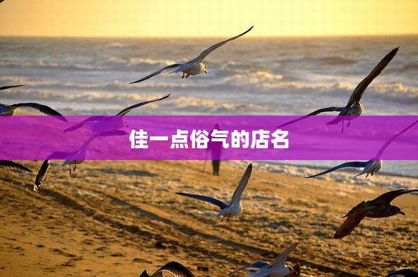 佳一点俗气的店名