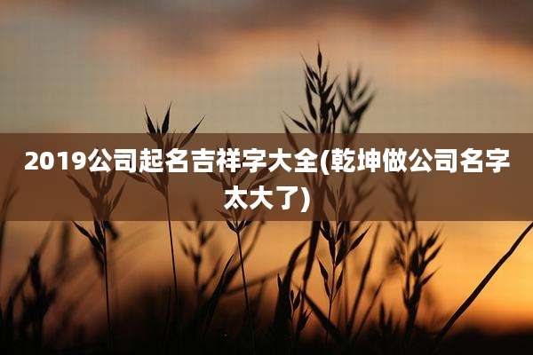 2019公司起名吉祥字大全(乾坤做公司名字太大了)