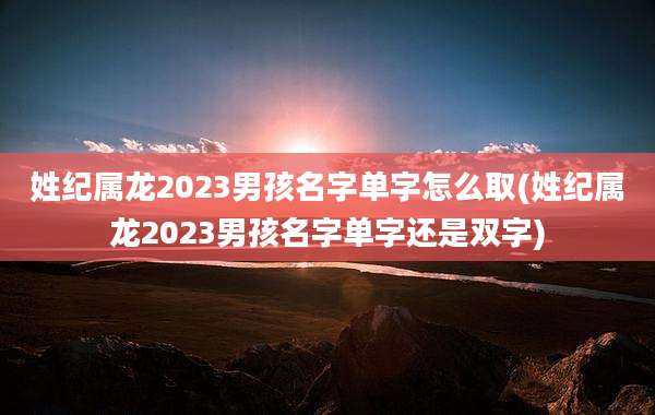 姓纪属龙2023男孩名字单字怎么取(姓纪属龙2023男孩名字单字还是双字)