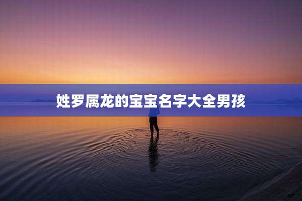 姓罗属龙的宝宝名字大全男孩