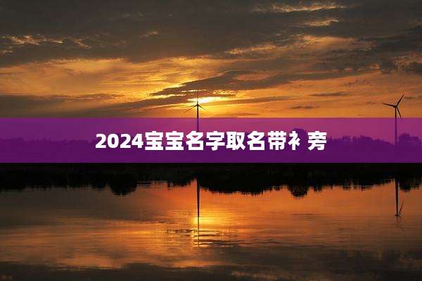 2024宝宝名字取名带衤旁