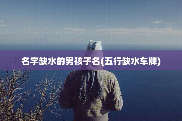 名字缺水的男孩子名(五行缺水车牌)