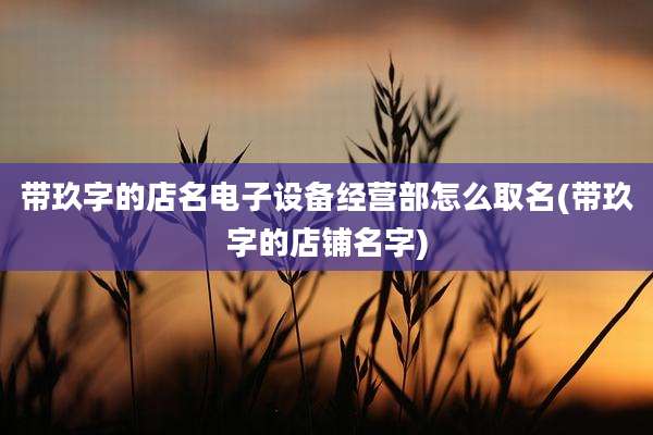 带玖字的店名电子设备经营部怎么取名(带玖字的店铺名字)