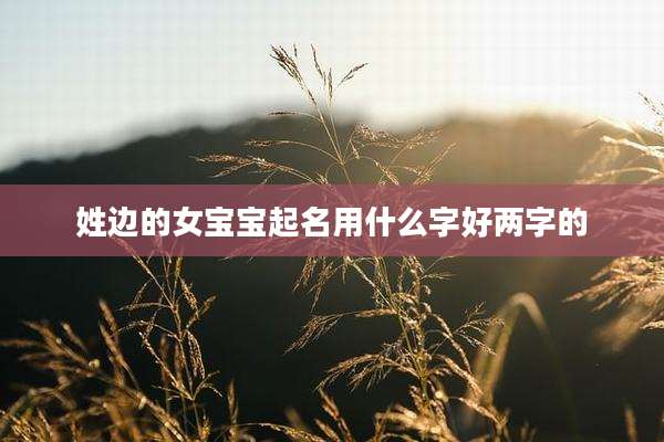 姓边的女宝宝起名用什么字好两字的