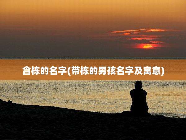 含栋的名字(带栋的男孩名字及寓意)