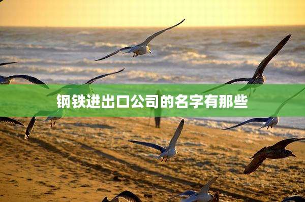 钢铁进出口公司的名字有那些