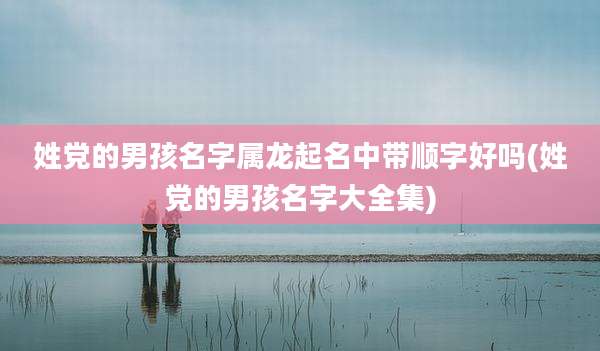 姓党的男孩名字属龙起名中带顺字好吗(姓党的男孩名字大全集)