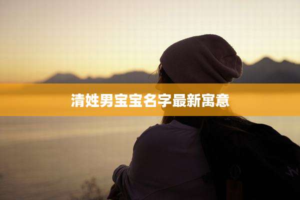 清姓男宝宝名字最新寓意