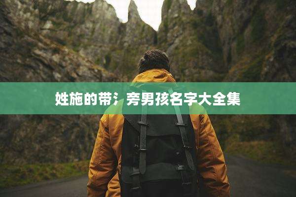 姓施的带氵旁男孩名字大全集