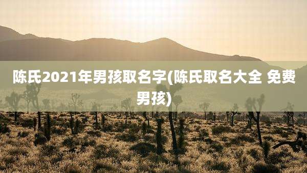 陈氏2021年男孩取名字(陈氏取名大全 免费男孩)