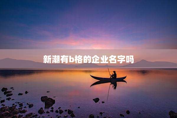 新潮有b格的企业名字吗