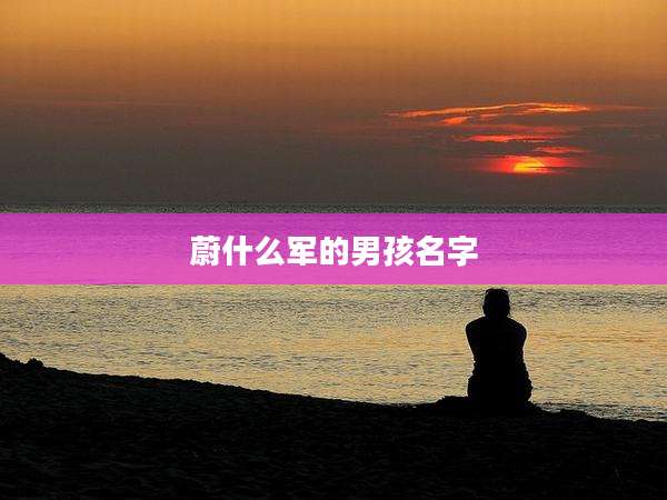 蔚什么军的男孩名字