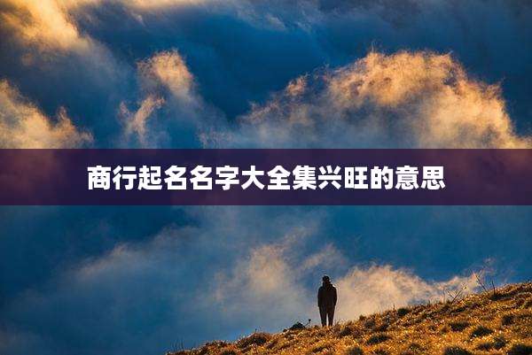 商行起名名字大全集兴旺的意思