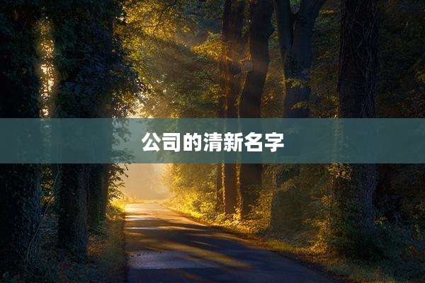 公司的清新名字