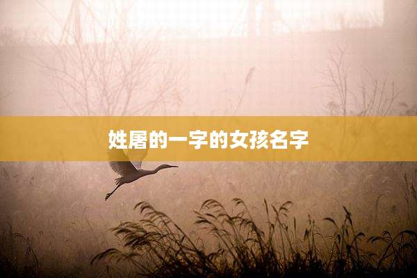 姓屠的一字的女孩名字