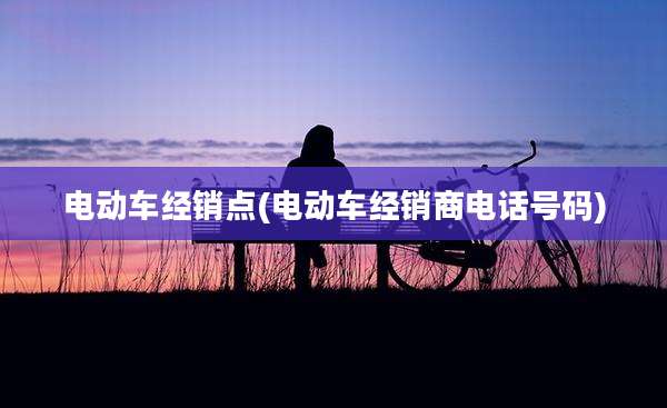电动车经销点(电动车经销商电话号码)