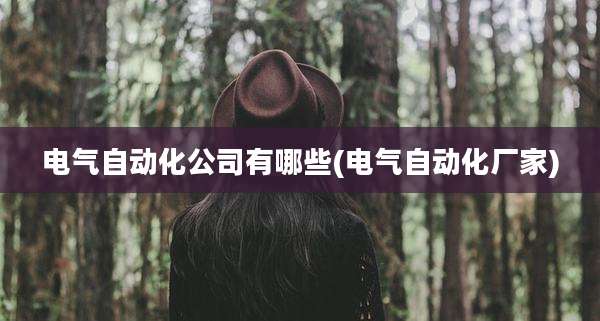 电气自动化公司有哪些(电气自动化厂家)