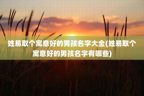 姓易取个寓意好的男孩名字大全(姓易取个寓意好的男孩名字有哪些)